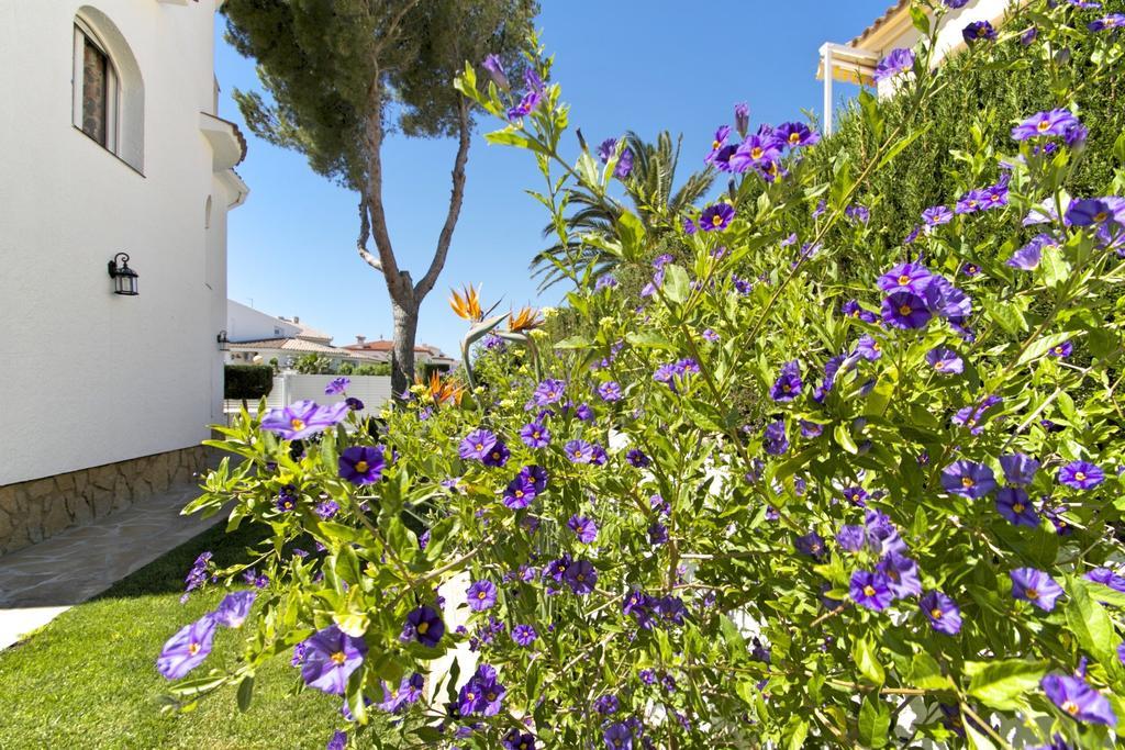 Arenda Pino Alto Villa Gallo Miami Playa Quarto foto
